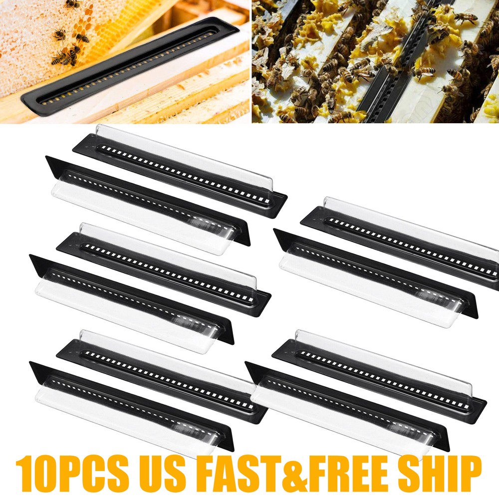 10Pcs Black Small Bee Hive Beetle Blaster Beehive Beetle Traps Beekeeping Tool