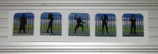 Data East Secret Service Pinball Machine Drop Target Decal Set CUSTOM