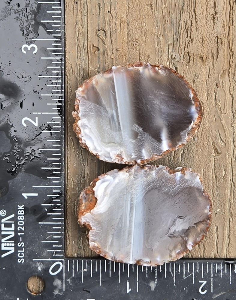 Oco Agate Geode Cut In Half - Rough, Natural, Not Polished Lapidary
