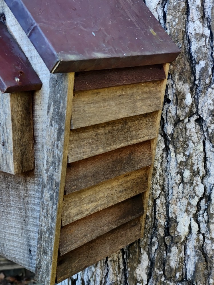 Bluebird House With Copper-Clad Roof