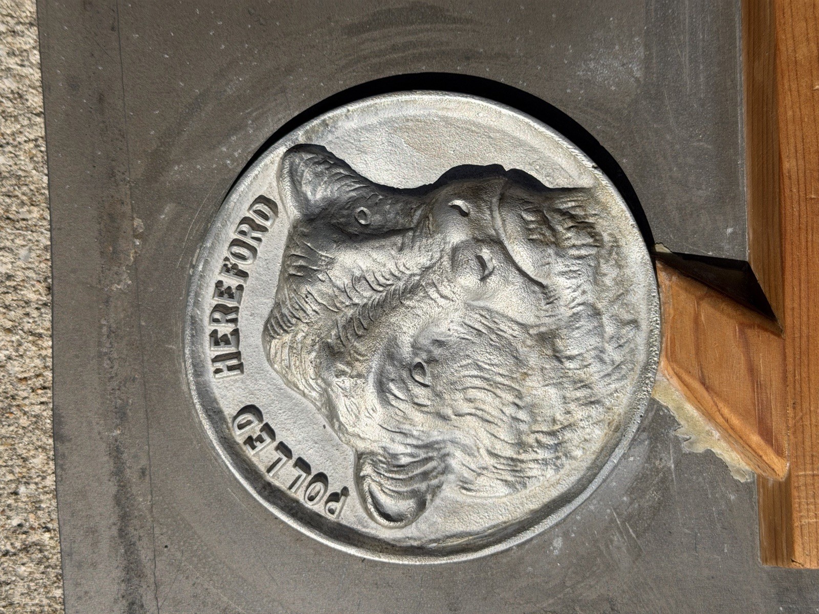 Vintage Industrial Aluminum Foundry Mold Pattern Polled Hereford Cows Sculpture