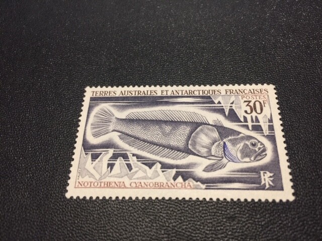 Fr. Southern & Antarctic 42 MH