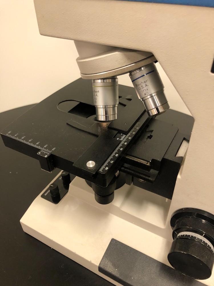 Reichert Microstar IV Series Model 410 Compound Microscope