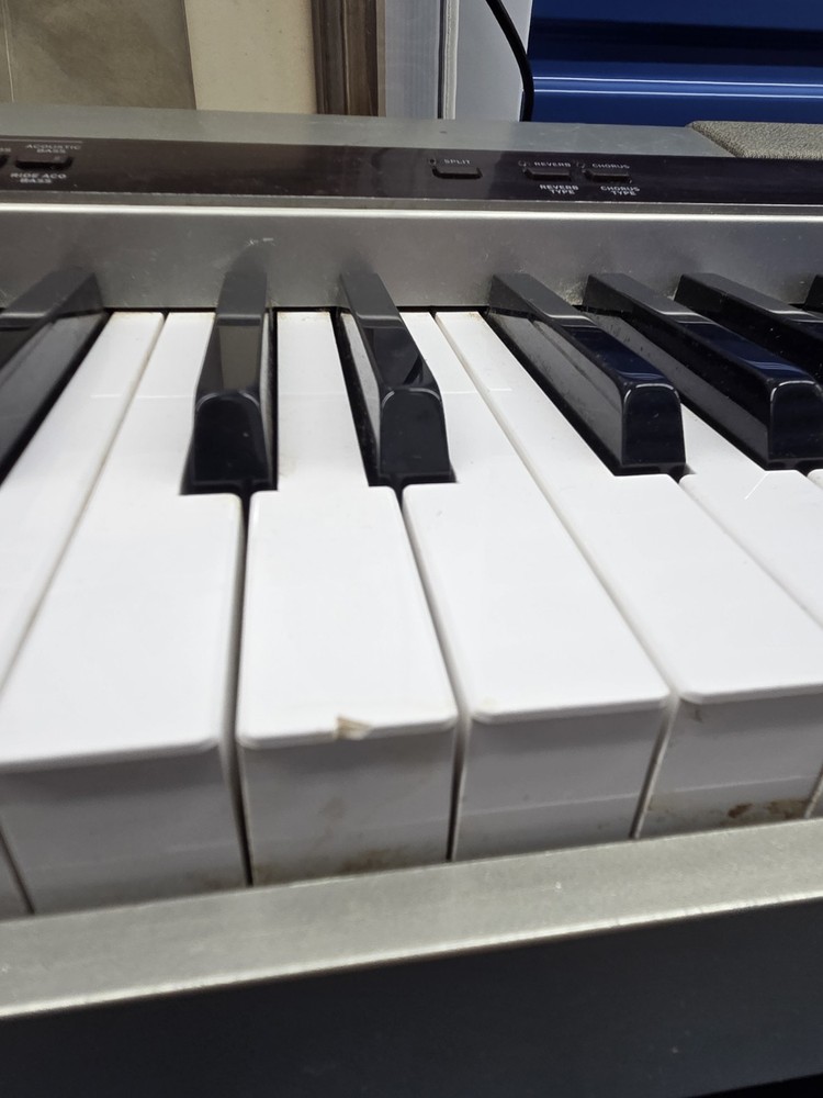 Casio Privia Digital 88-Key Piano Model: PX-110 (read condition)