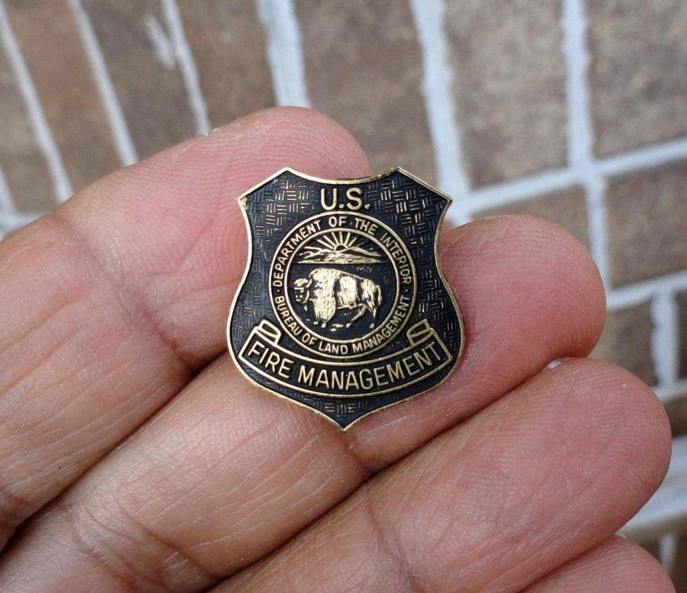 US FIRE / LAND MANAGEMENT LAPEL PIN BADGE