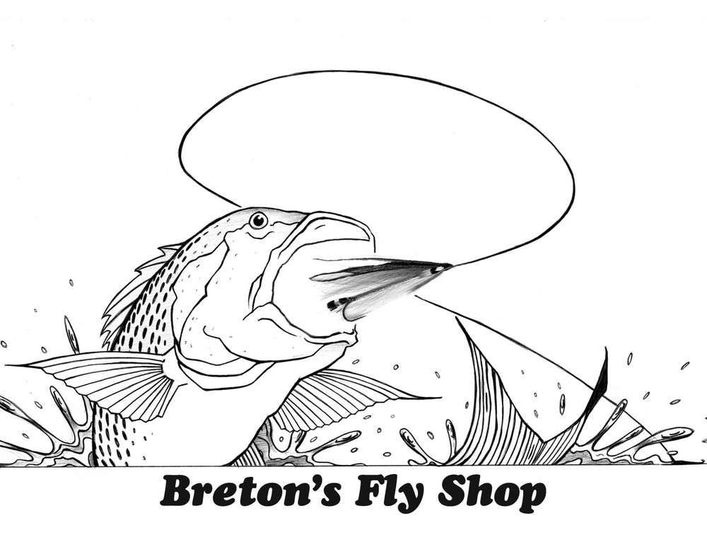 ULTRA-CLEAR WATERPROOF DOUBLE SIDED FLY BOX ( Medium )