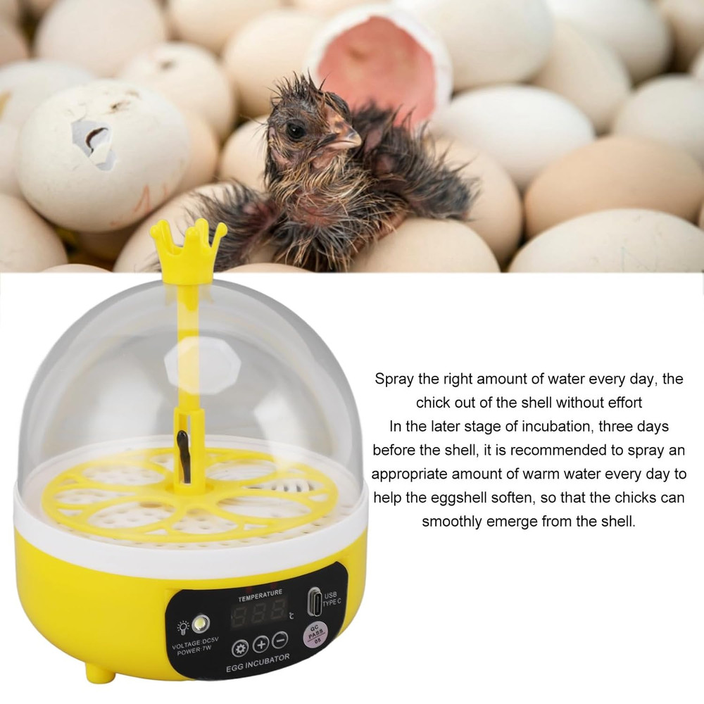 Egg Incubator, Automatic Temperature Control 4 Eggs Chicken Egg Incubator Portab