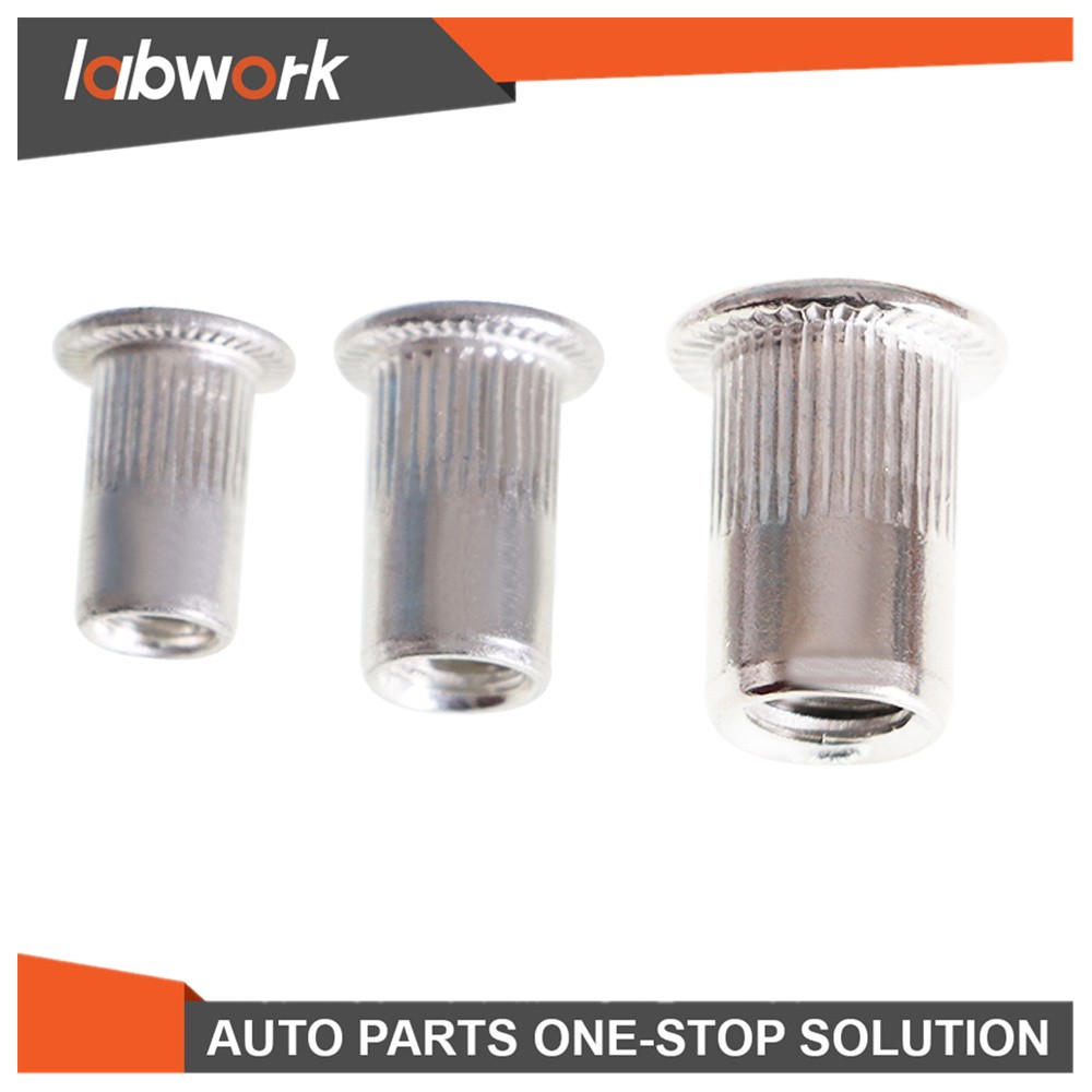 Labwork Rivet Nut Gun Kit Rivnut Tool Setter Thread Setting Nutsert Tool 900 Pcs