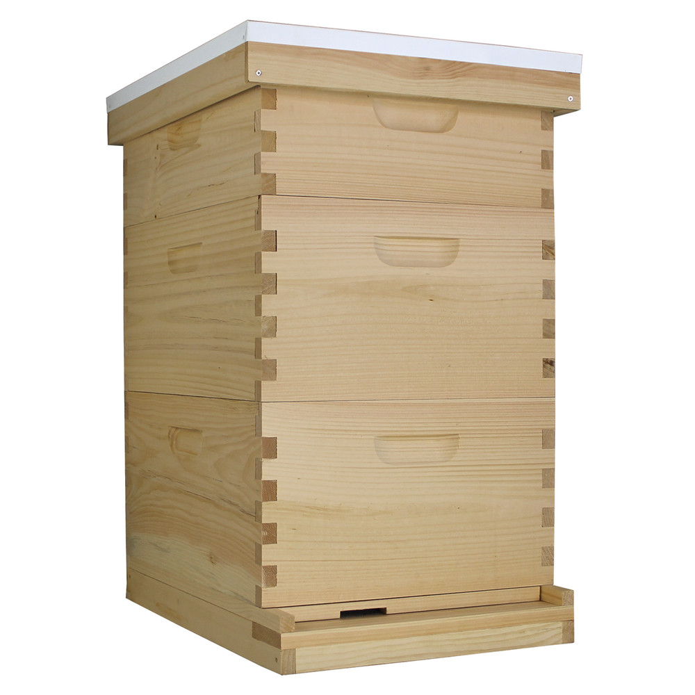 10 Frame Complete Beehive Kit – Amish-Made with 2 Deep & 1 Medium Boxes, Frames