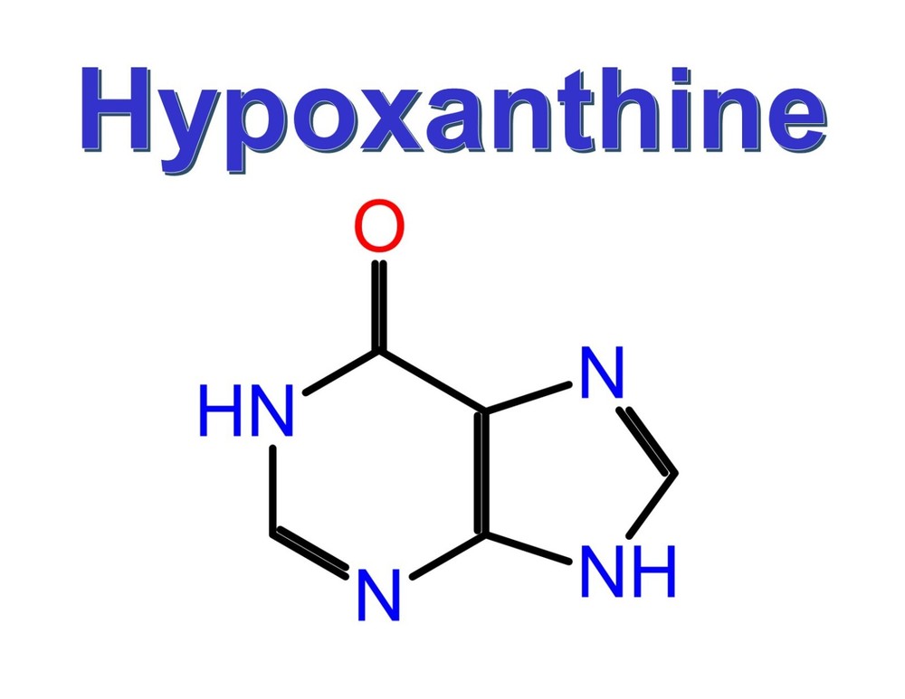 Hypoxanthine, CAS 68-94-0