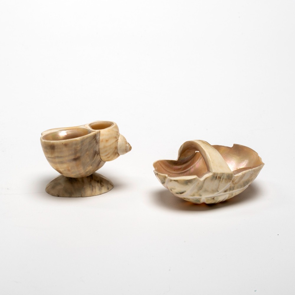 Two Antique Carved Shell Salts