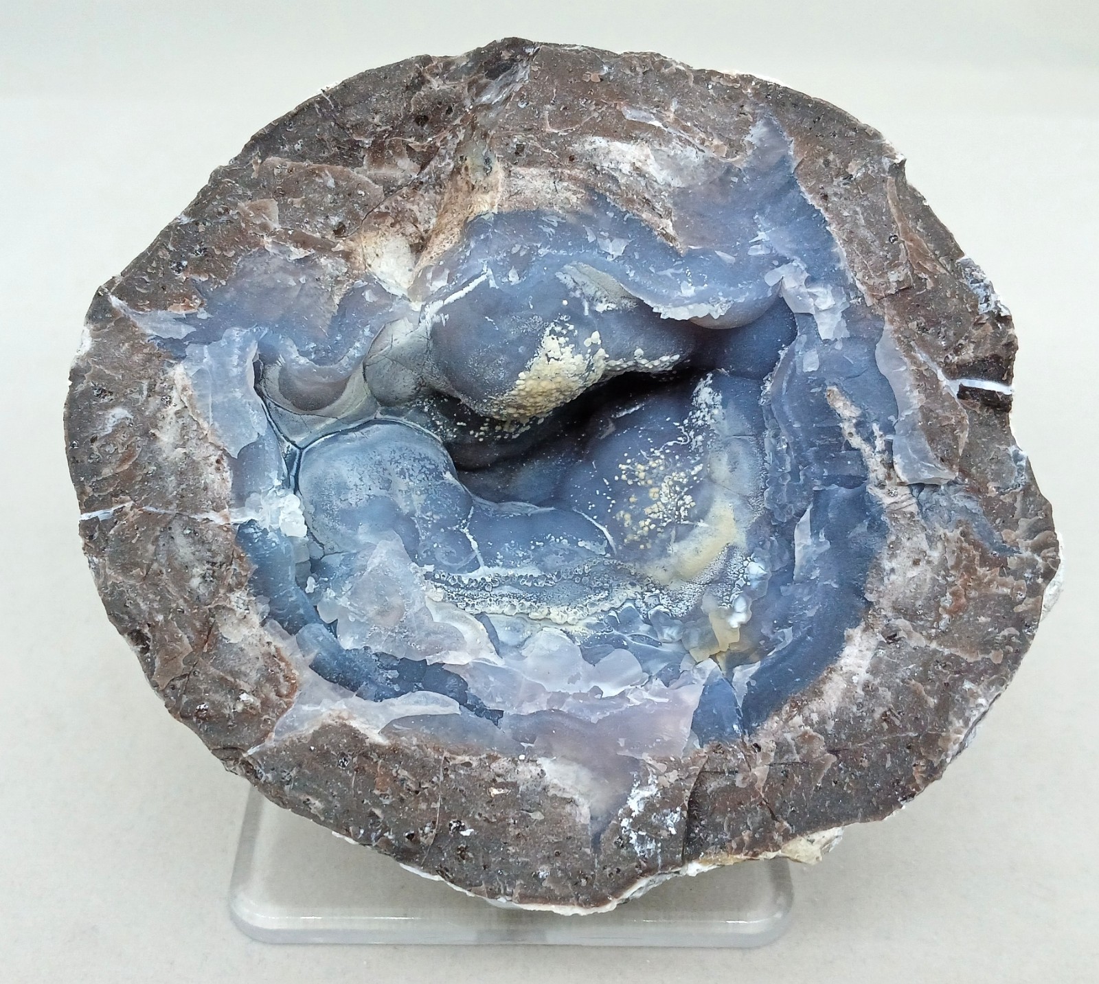 Whole Guaranteed Hollow Utah Dugway Quartz Agate Geode Thundereggs, Fluorescent!