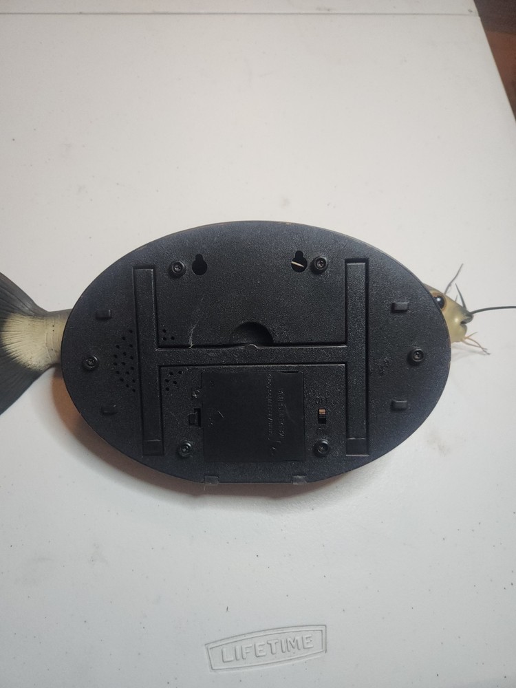 CoolCatfish Automated Wall Hanger Catfish Working
