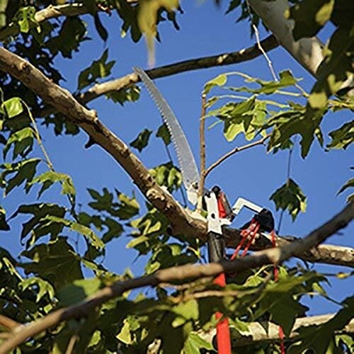 Versatile DualLink Tree Saw & Pruner - 10ft Extendable & Durable Fiber Poles