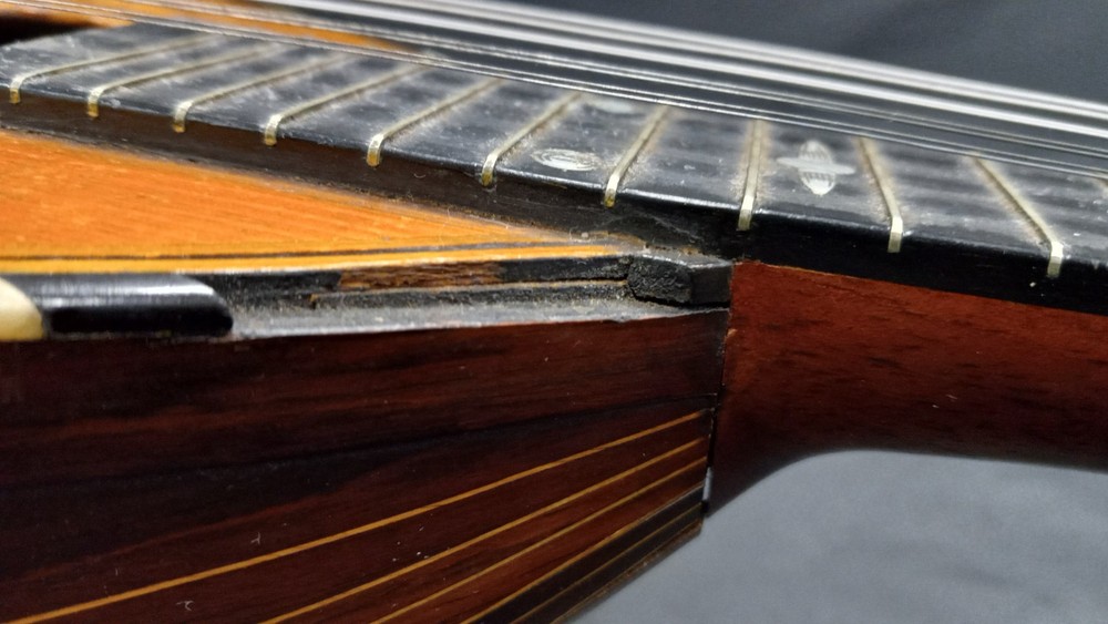Marshall Field & Co Luxton Chicago Mandolin (READ DESCRIPTION)