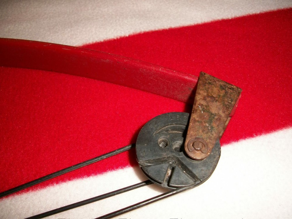 Bear Panda Bear Youth Compound Bow