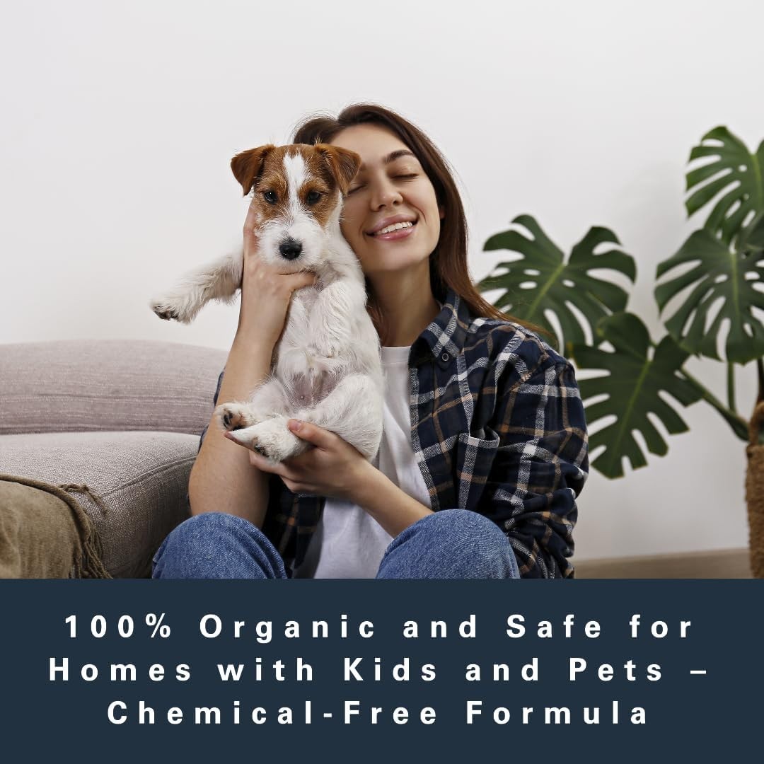 Monstera Potting Mix – Organic Soil w/ Fertilizer for Indoor & Outdoor Plants🌱