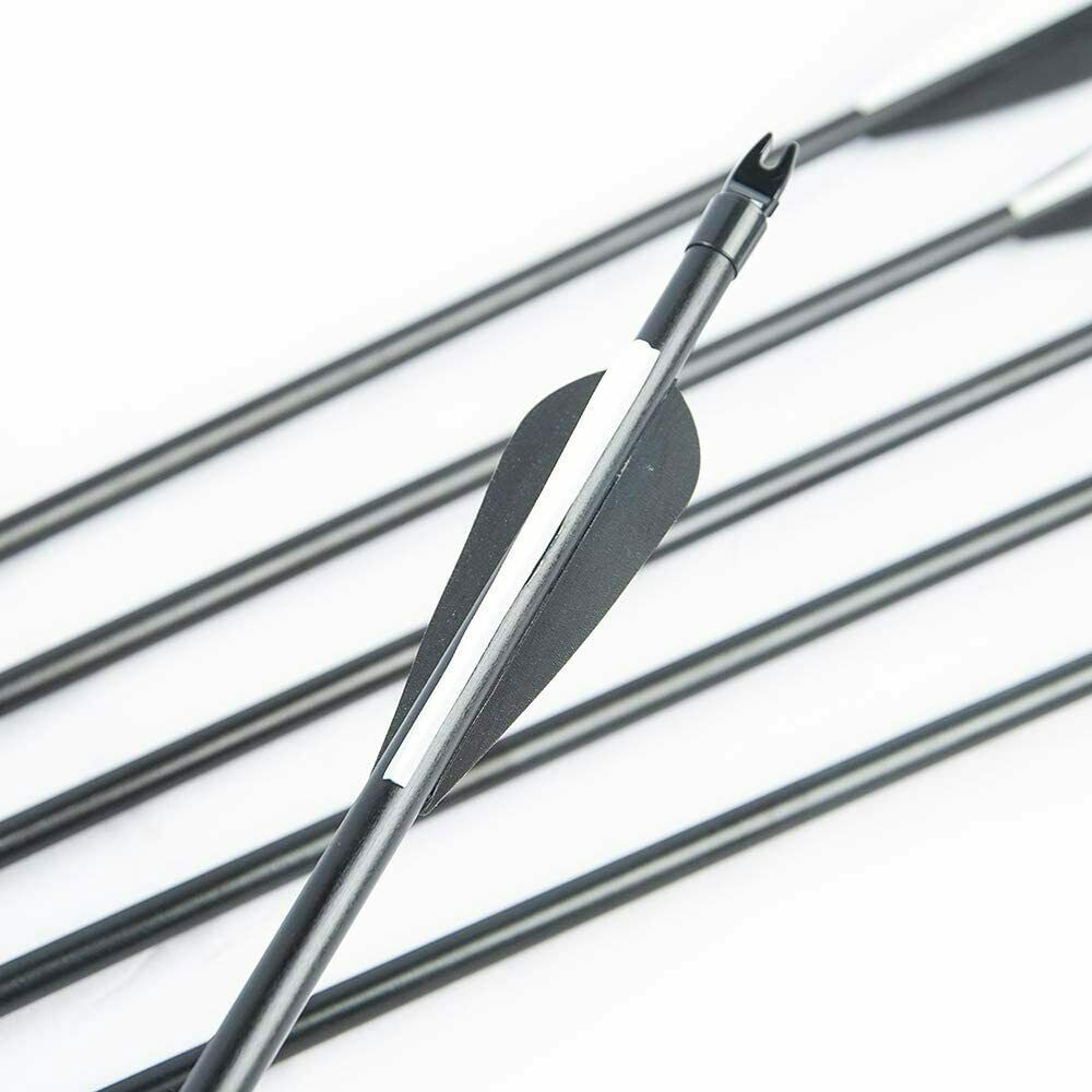 12Pcs 30'' Fiberglass Practice Target Arrows with Replaceable Arrowhead Spine500
