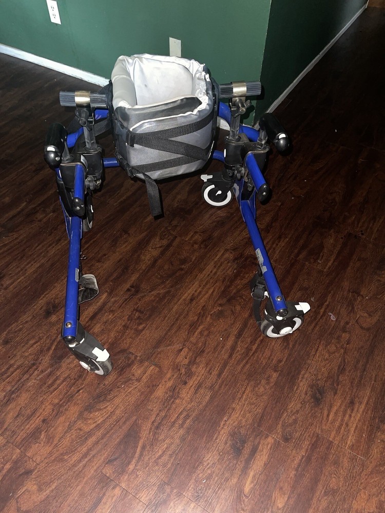 Moxie Gt Gate Trainer