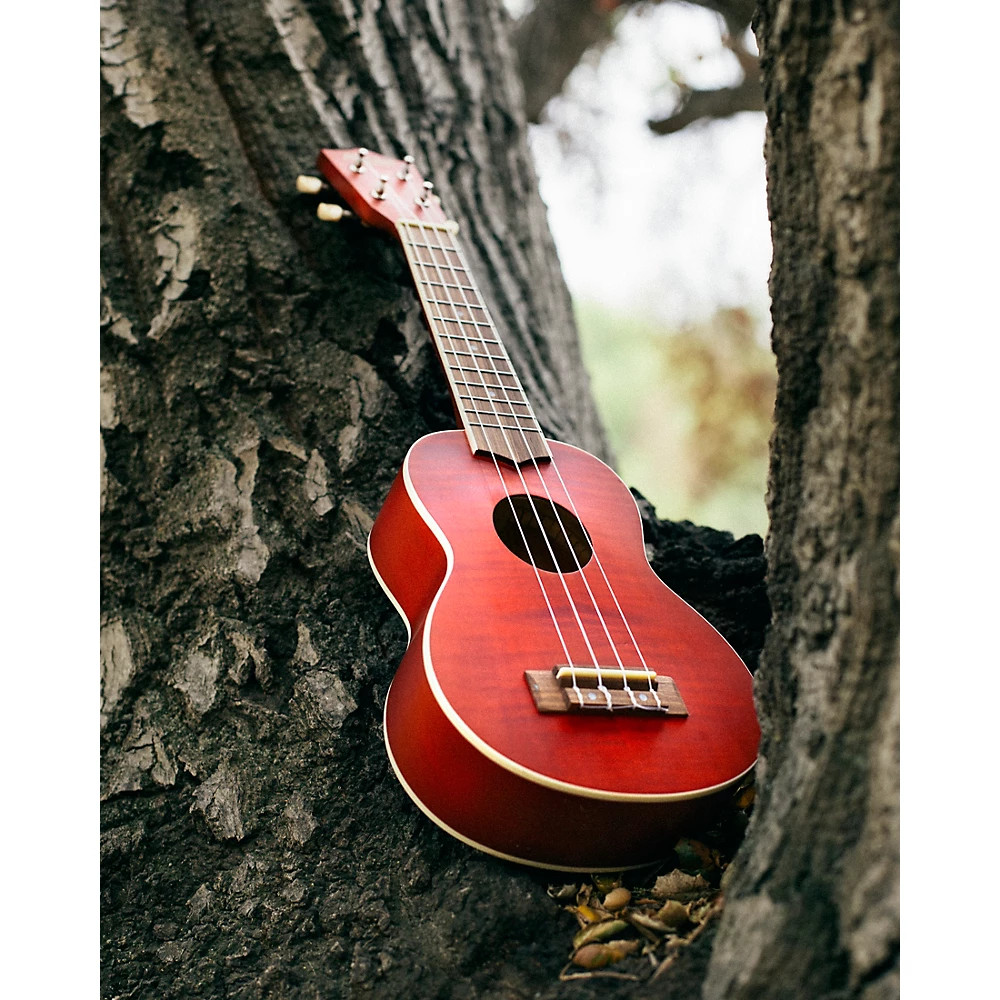 Mitchell MU45F Exotic Soprano Ukulele Flamed Maple Cherry