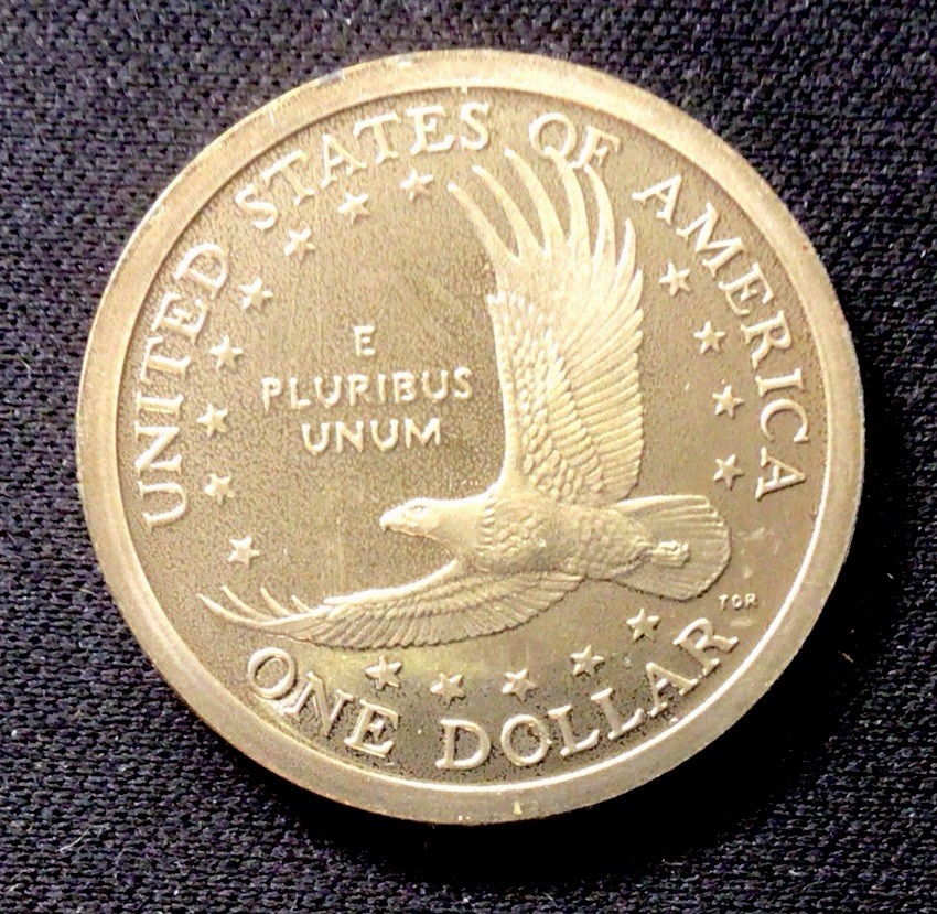 2008 S Sacagawea Dollar Proof! ENN Coins