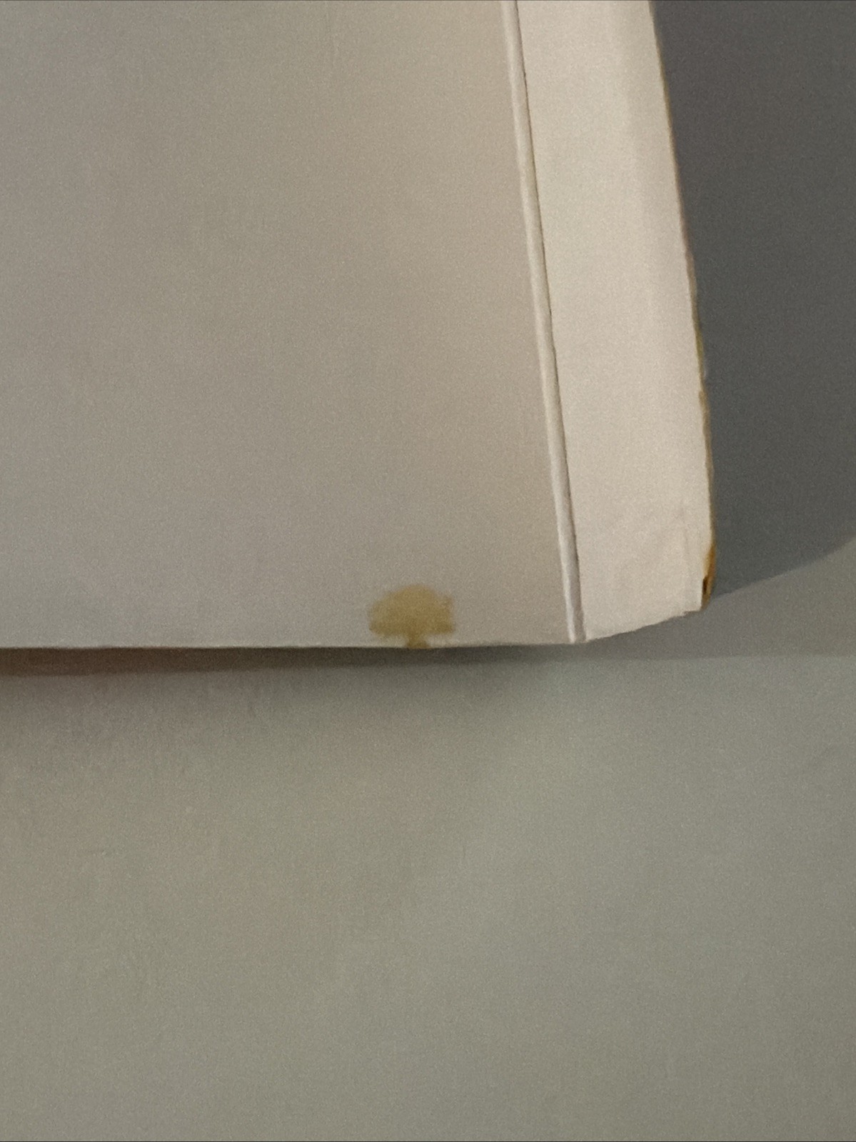 Lisa Frank Dancing 90’s Dolphins Spiral Button Snap Notebook