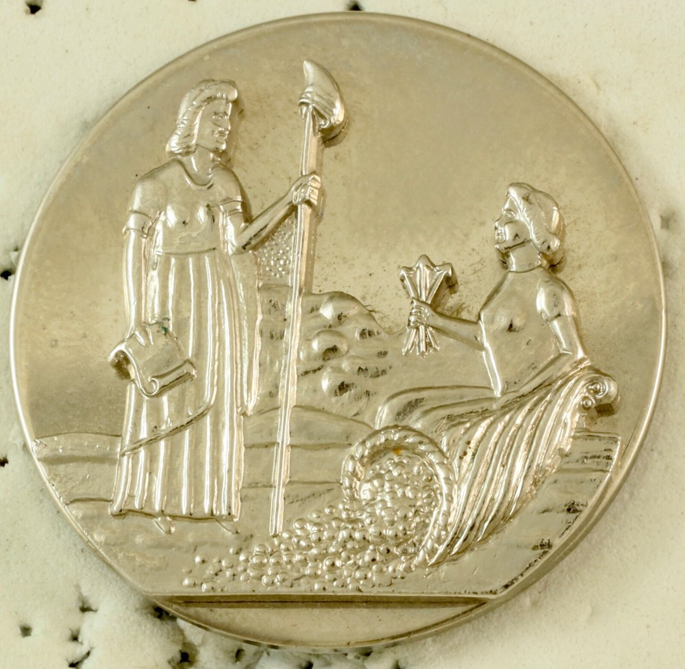 North Carolina State Seal Insignia Screwback