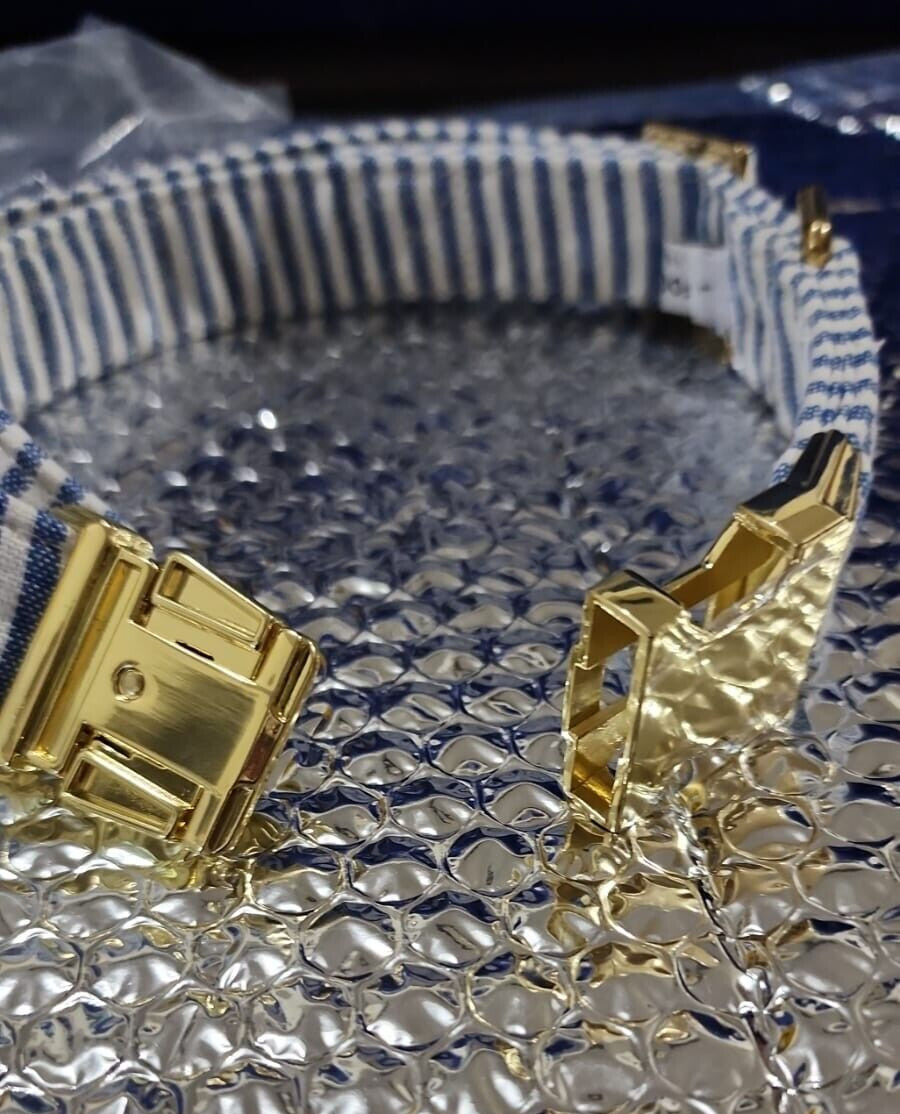 THE FOGGY DOG BELT LAKE BLUE STRIPE COLLAR L COL-325-L