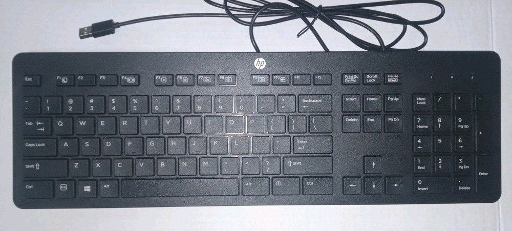 Three New Computer Key Boards, 2 - Wired HP'S and 1 - Wireless RoHs With Mouse!
