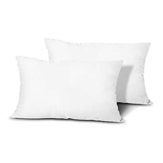 Throw Pillow Inserts, Set of 2 Lightweight Down Alternative Polyester White