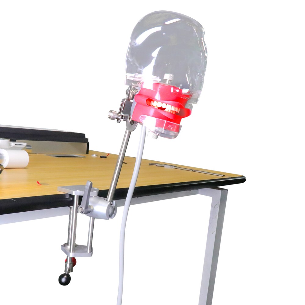 Dental Silicone Phantom Head Model&Replacement Teeth Model Manikin Head Model CE