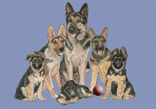 German Shepherd Blank Note Card