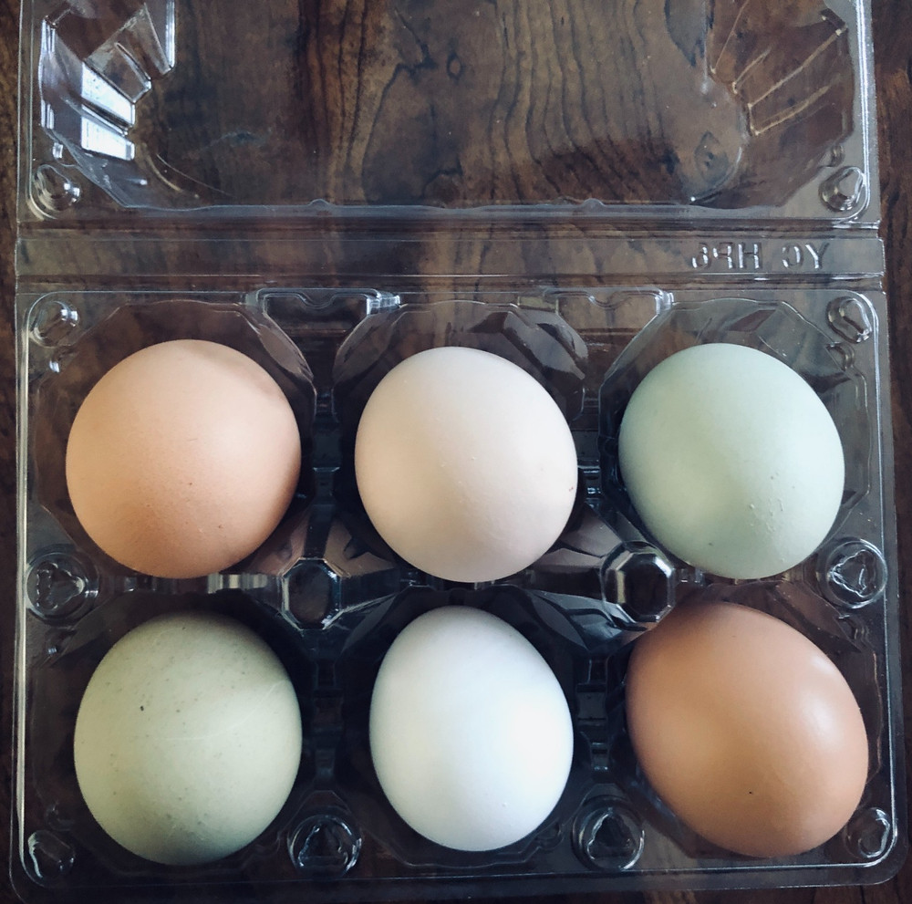 6+ Fertile Chicken Hatching Eggs Barnyard Mix/Crested/Easter/Rare Breed Possible