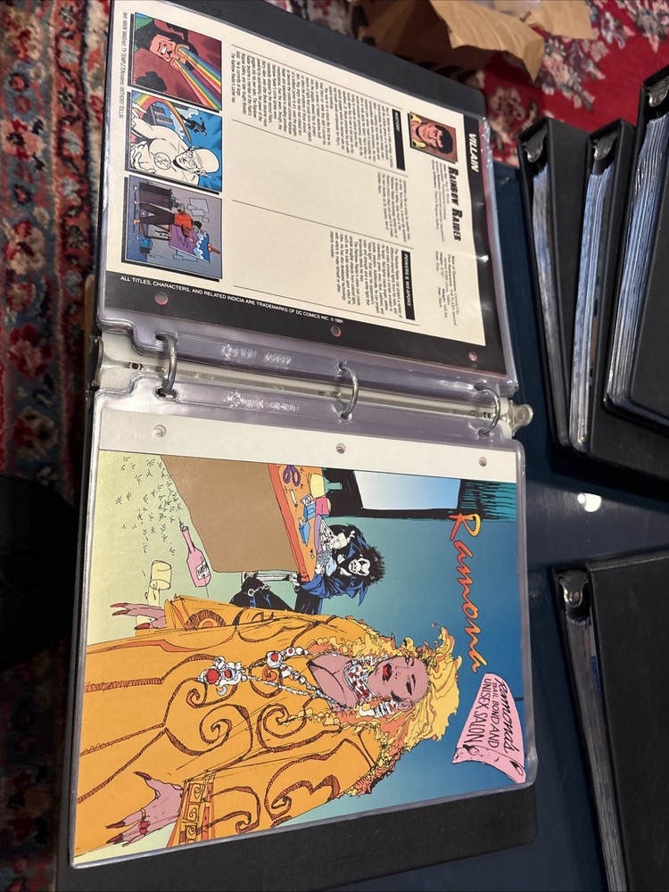 Comic Book Bio Binder
