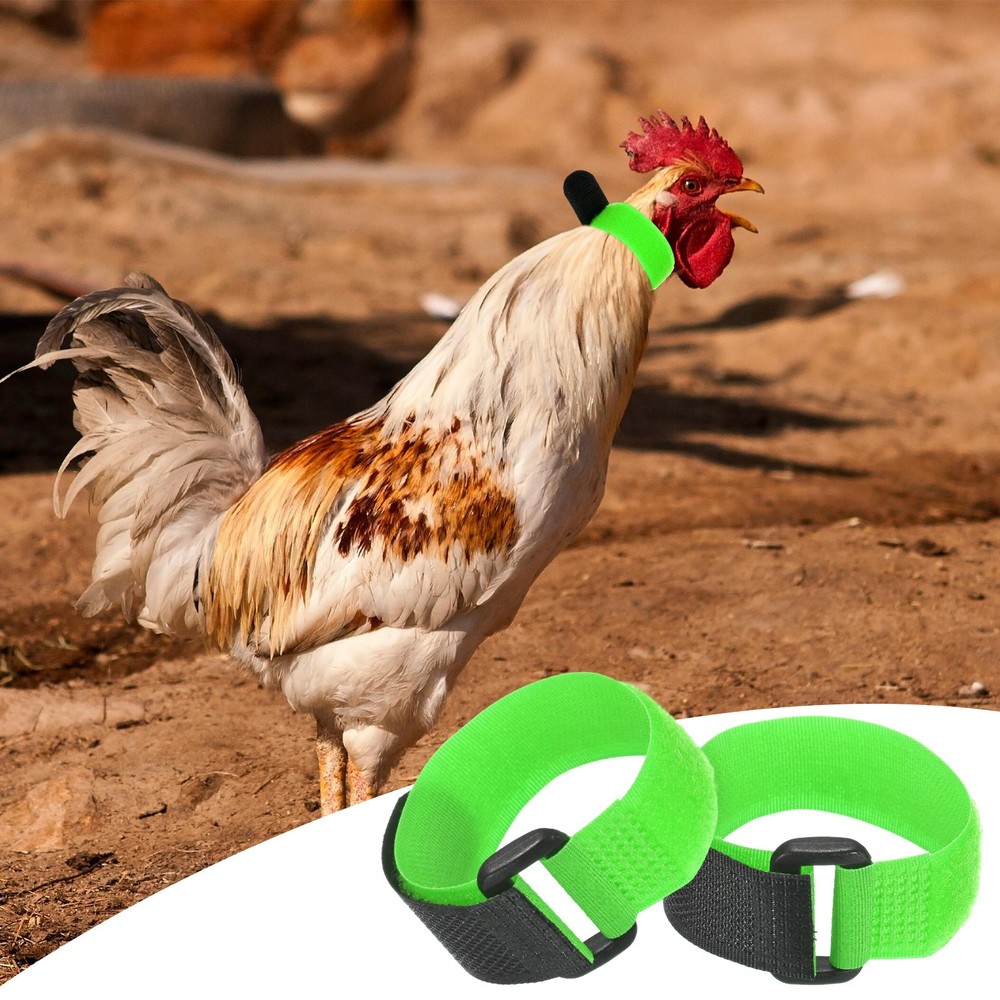 20-Pack Adjustable Polyester Rooster Collars for Poultry Birds [Green]