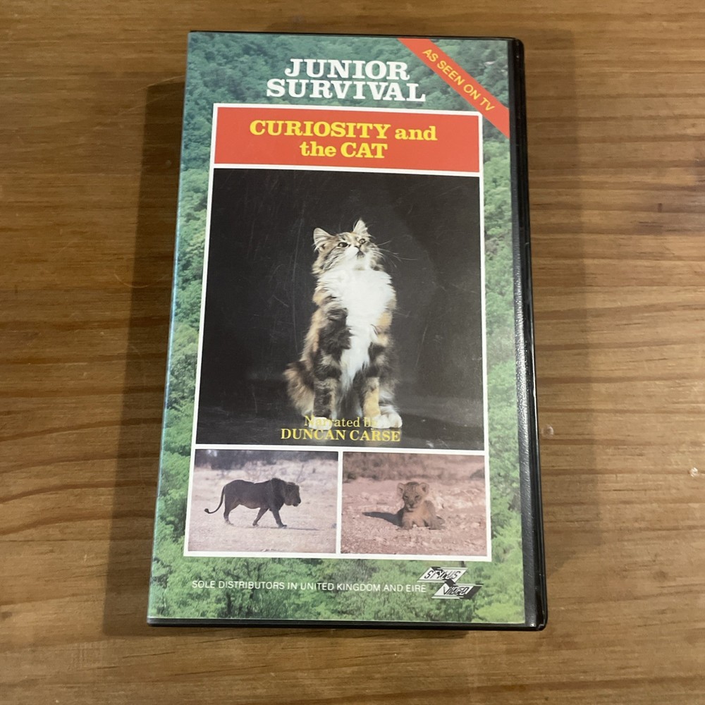 Curiosity And The Cat