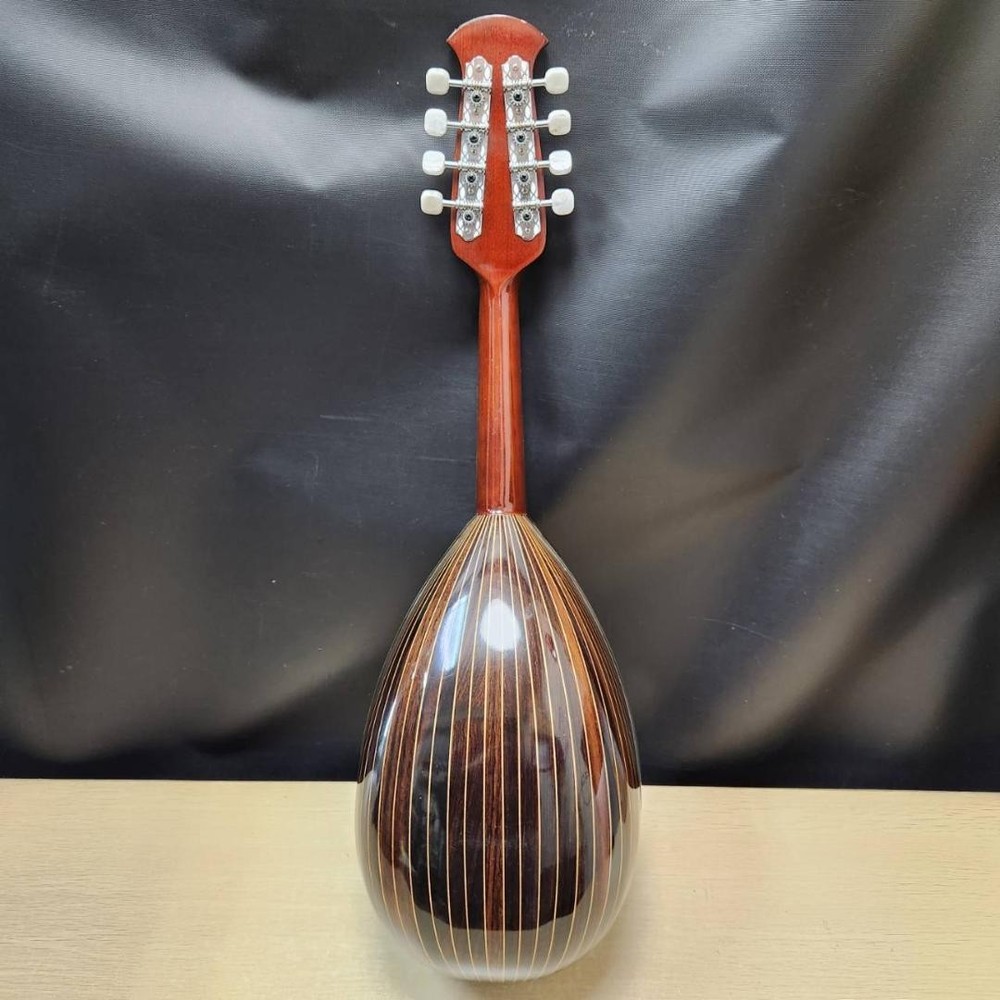 Suzuki violin mandolin M-218 with case