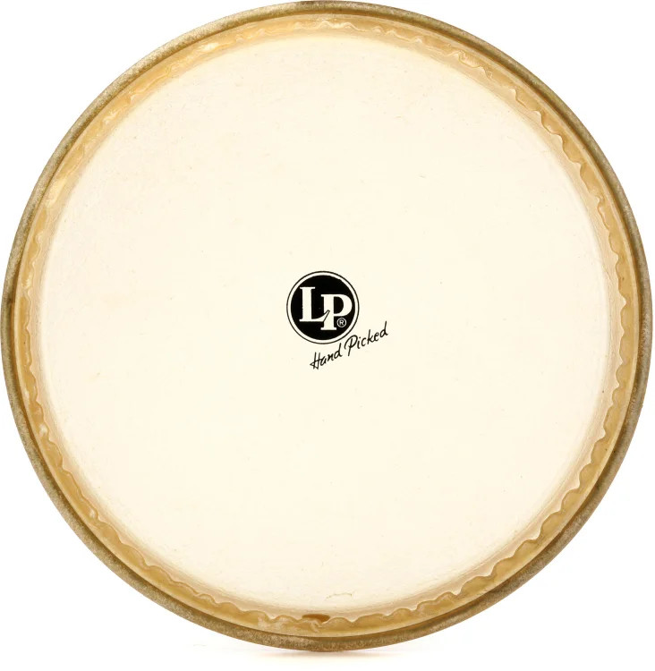 Latin Percussion Rawhide Conga Head - 11-3/4" - Conga