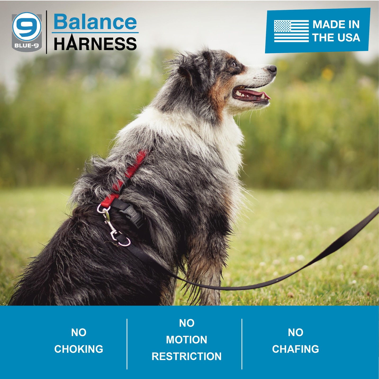 Blue-9 Buckle-Neck Balance Harness, Fully M (Ribcage: 21"-32"), Purple