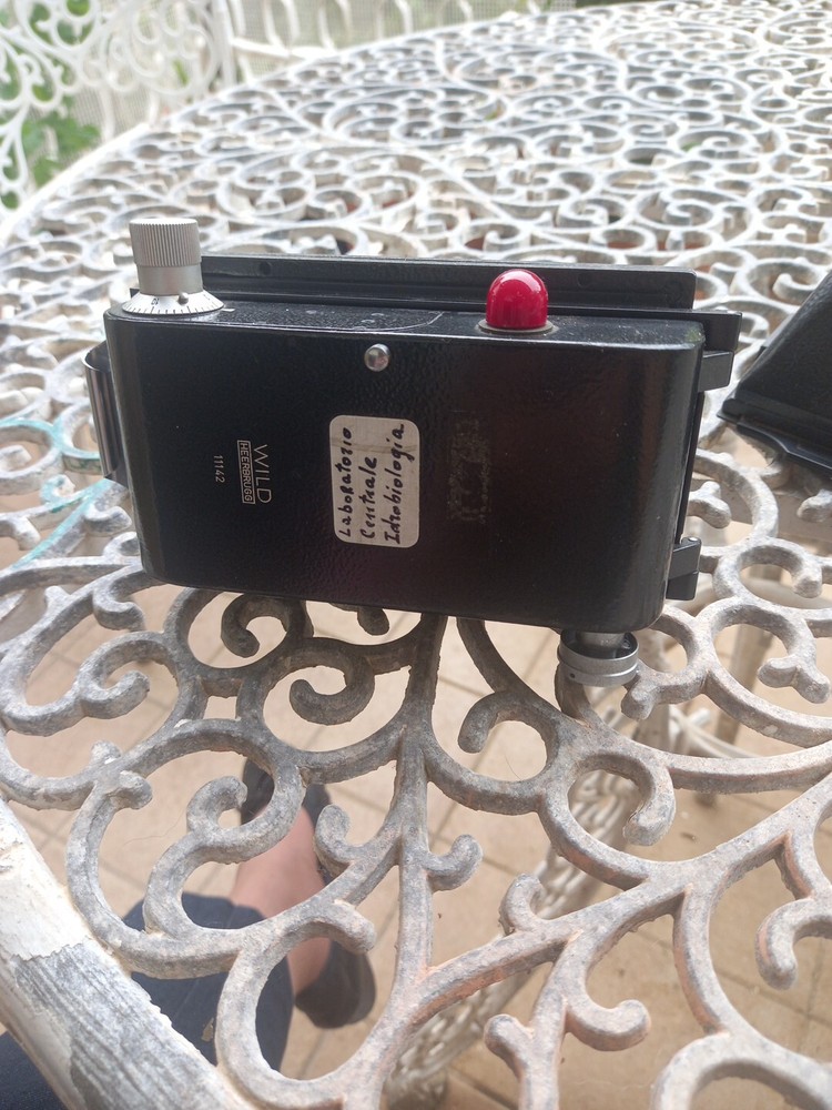 Wild Microscope Camera