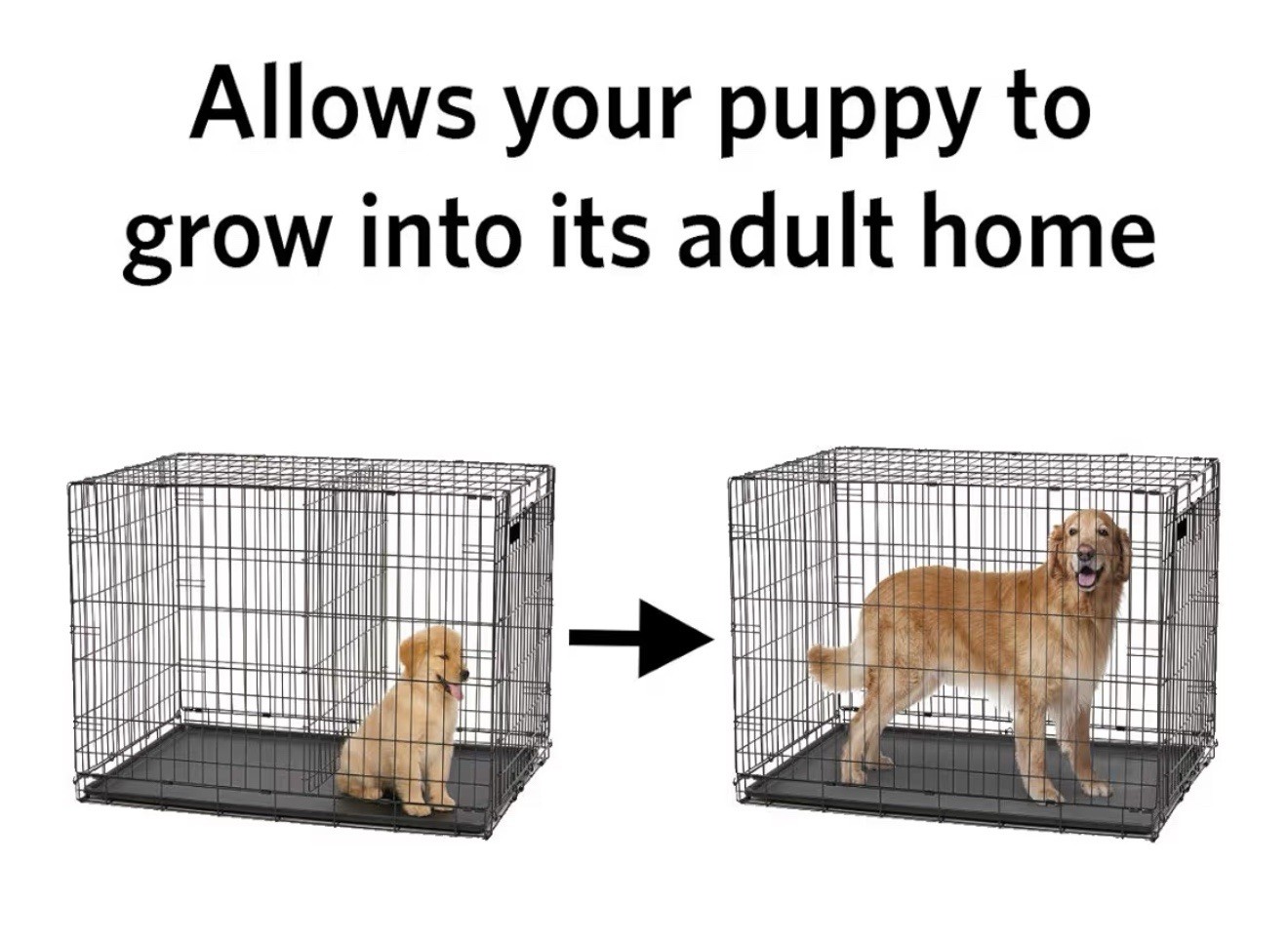 Midwest Homes Pets Dog Crate 1636, 1636DD, 1936 and 736UP, 06DP NEW DIVIDER ONLY