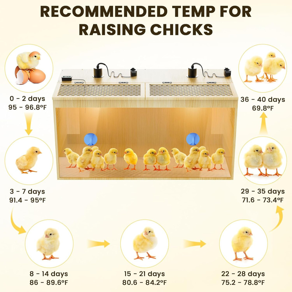Brooder Box for Chicks, 32 Inch Large Wooden Chicken Brooder Box with 75W Heat L
