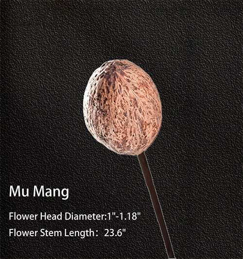 Elegant Dried Flower Arrangements - Perfect for Home Decor & Events 03