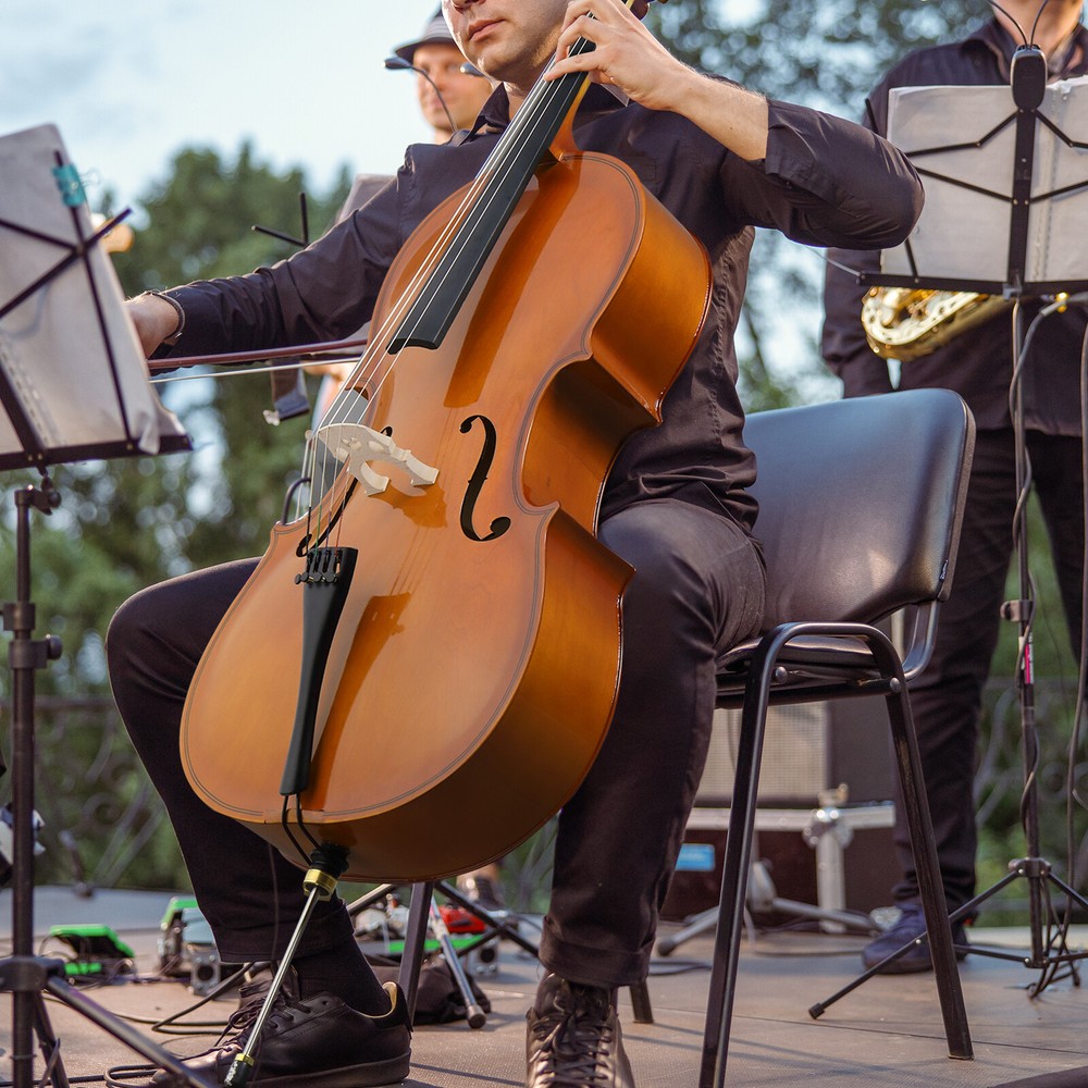 Full Size Cellos for Kids & Adults with Bow, Case Size 3/4 for Beginner