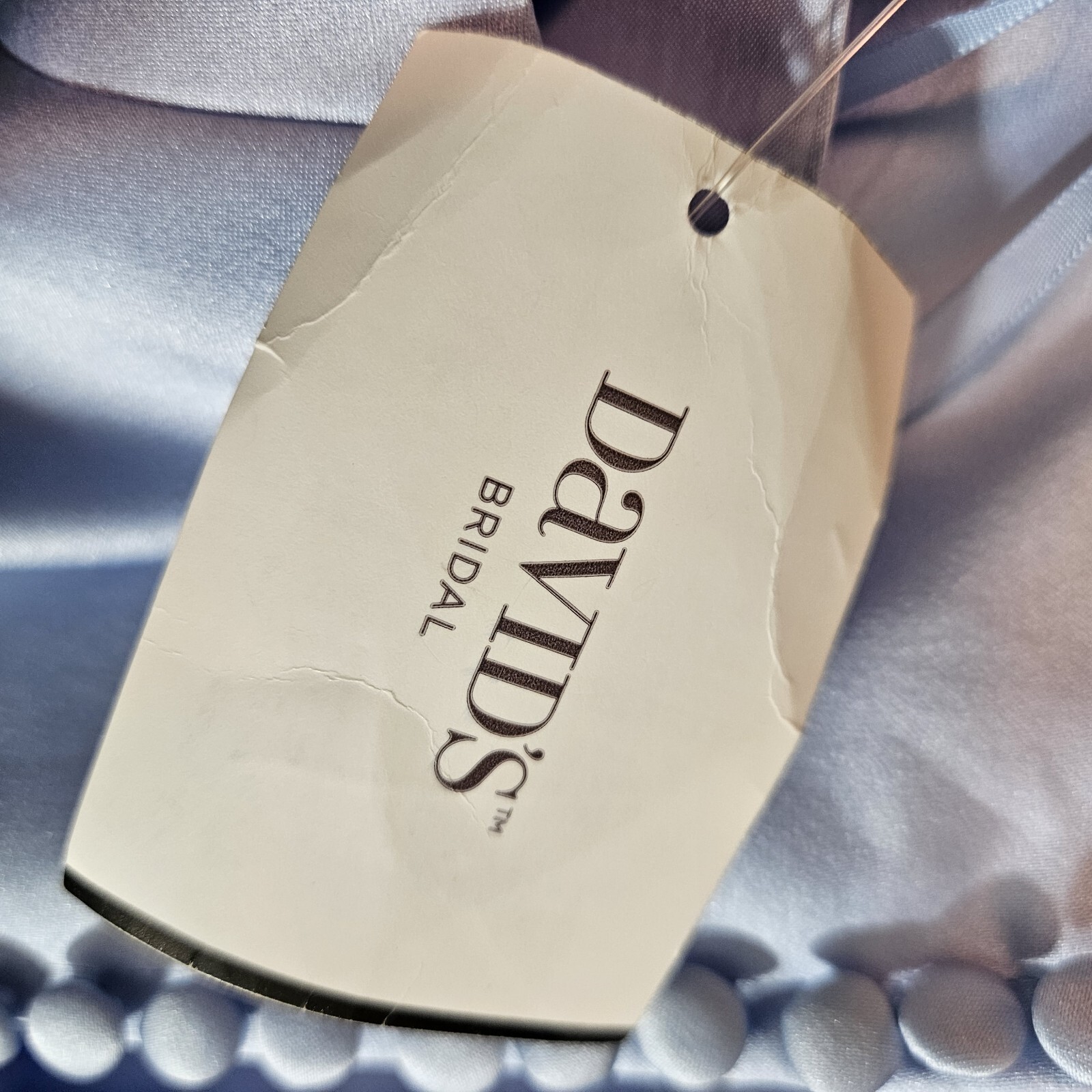 David’s Bridal Flower Girl Formal Dress Light Blue with Bow Youth Size 10 NEW