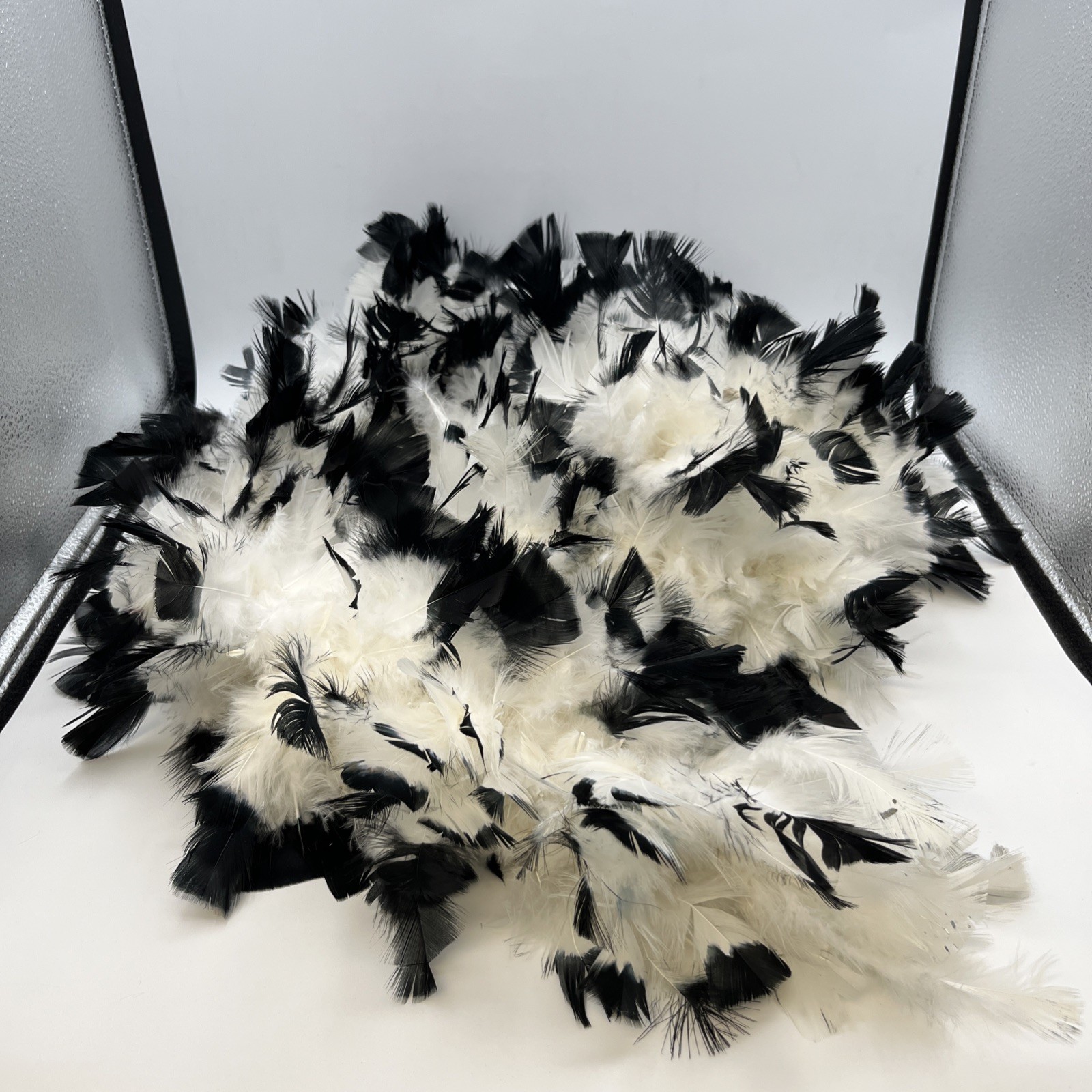 Black tipped White chandelle feather boa 72” D0123303