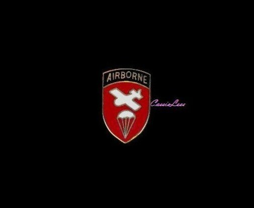 USA Airborne Command + a custom promo pin