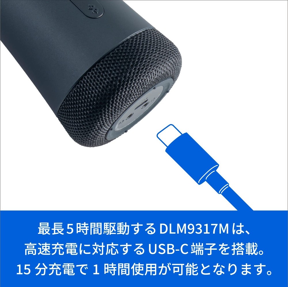 PHILIPS DLM9317C Bluetooth Wireless Karaoke Microphone with Speaker USB-C