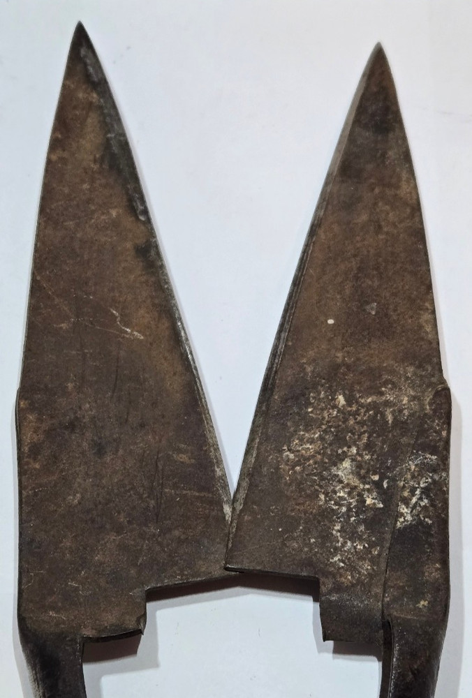 Vintage Rare Sheep Shears, Two piece riveted 13 1/2" Still Functioning and Sharp