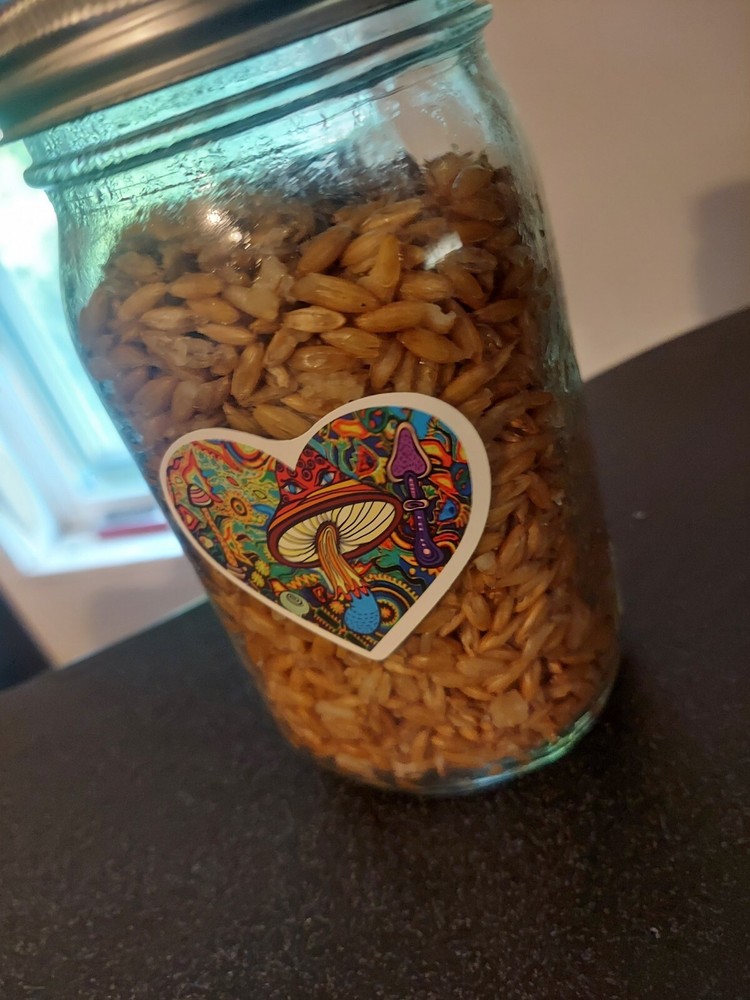Sterilized Grain Jar (Quart Jar) Includes "Injection Port"